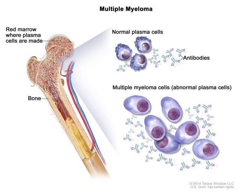 ncbi.nlm.nih.gov