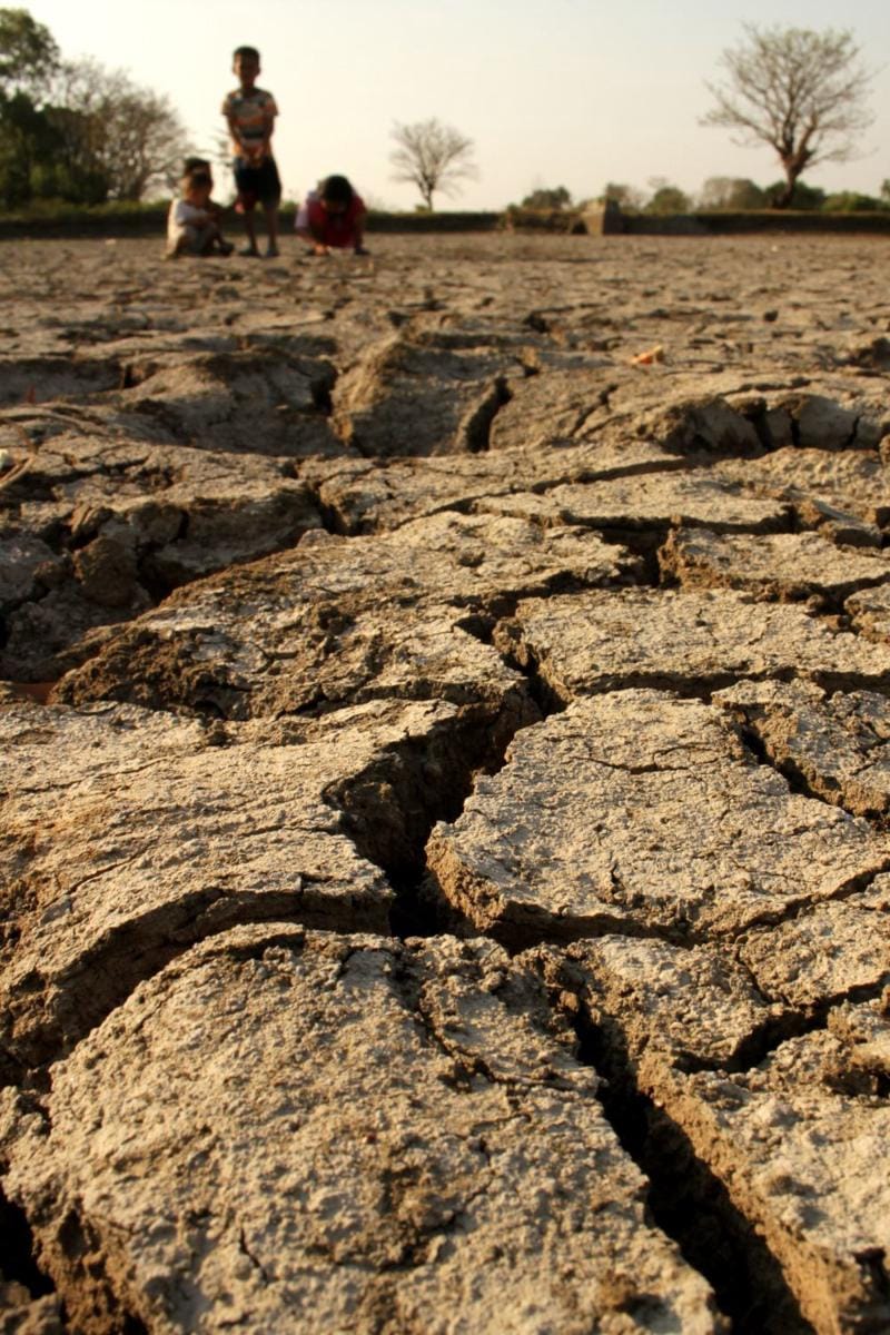 ANTARA FOTO/Arnas Padda