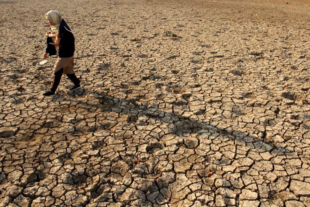 ANTARA FOTO/Arnas Padda