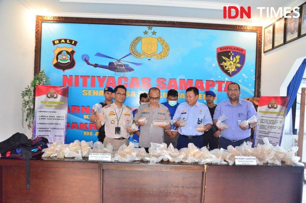 IDN Times/Muhammad Khadafi