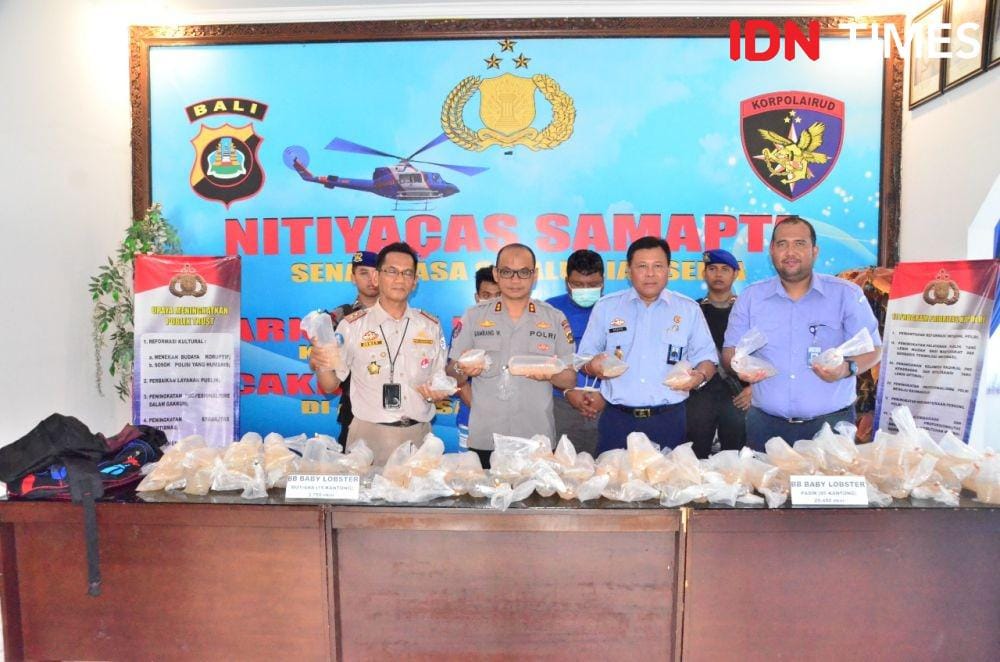 IDN Times/Muhammad Khadafi