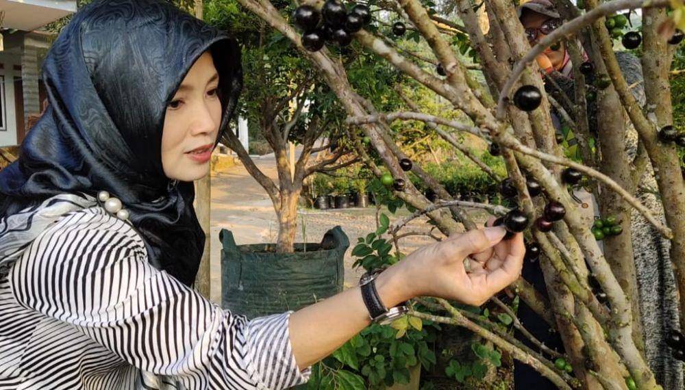 IDN Times/Andra Adyatama