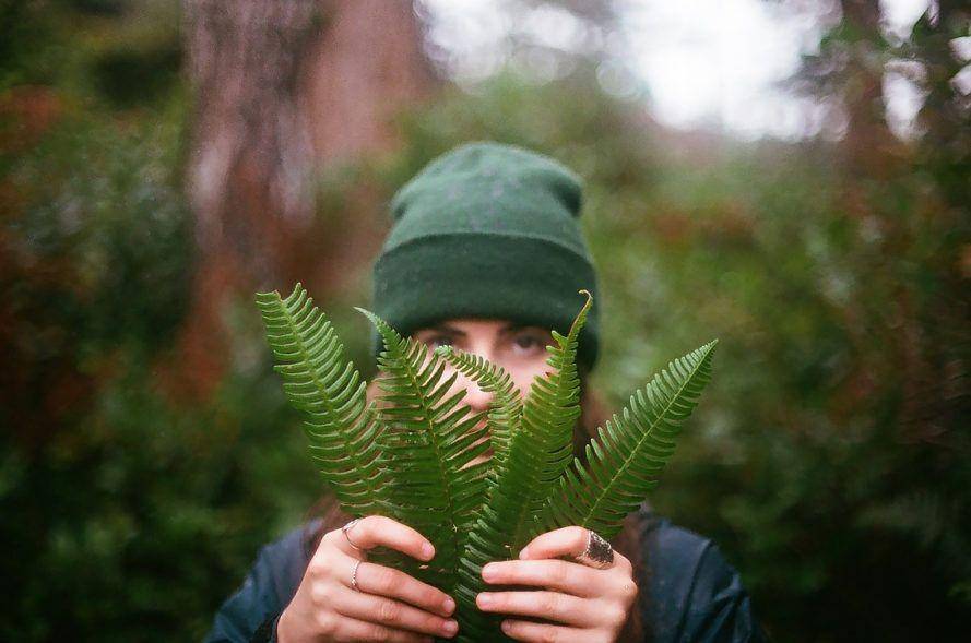 inhabitat.com
