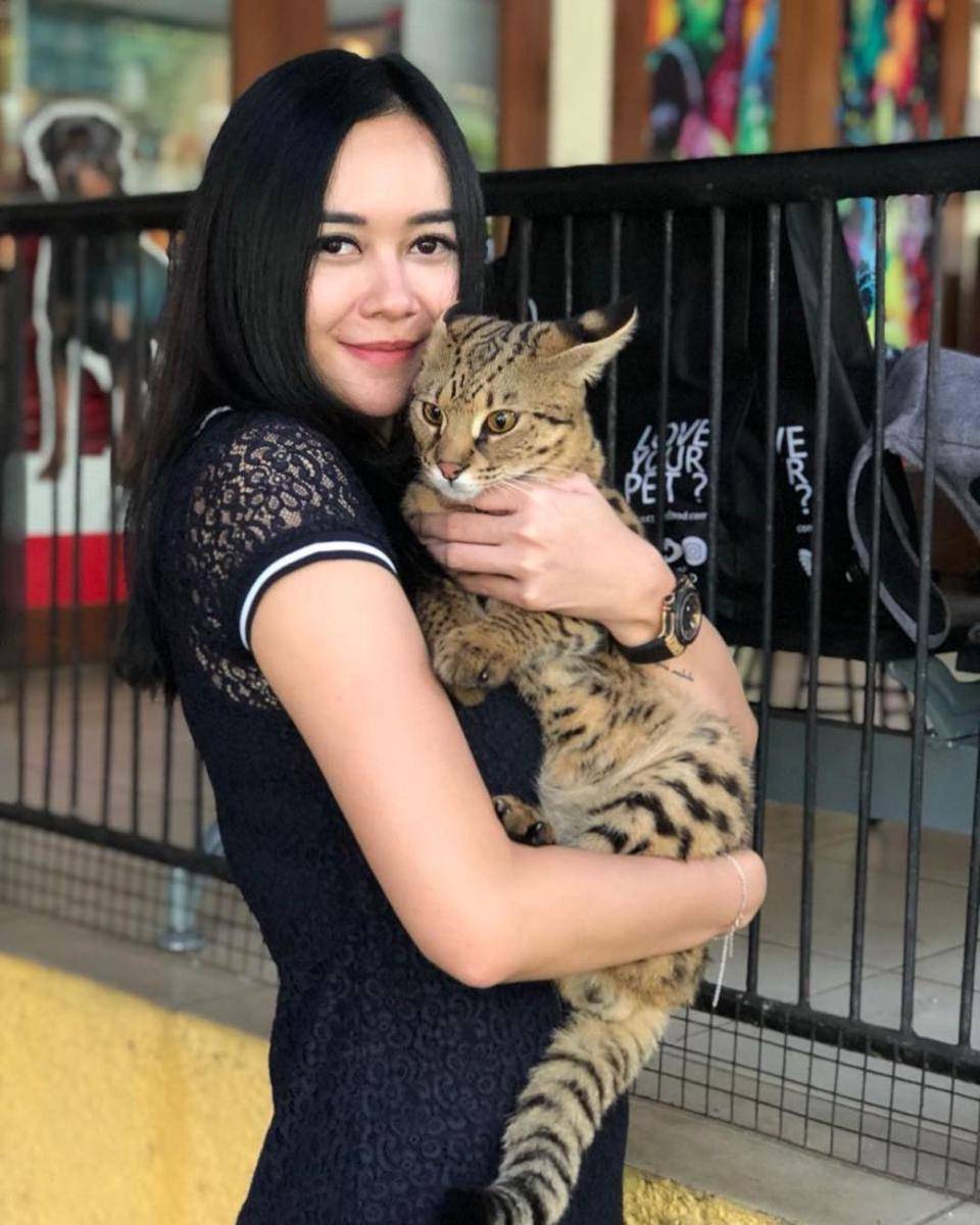 Instagram.com/aurakasih