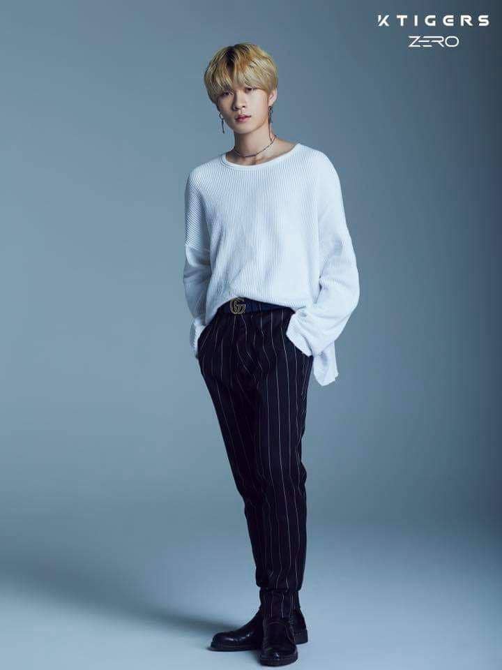 facebook.com/koreantigers