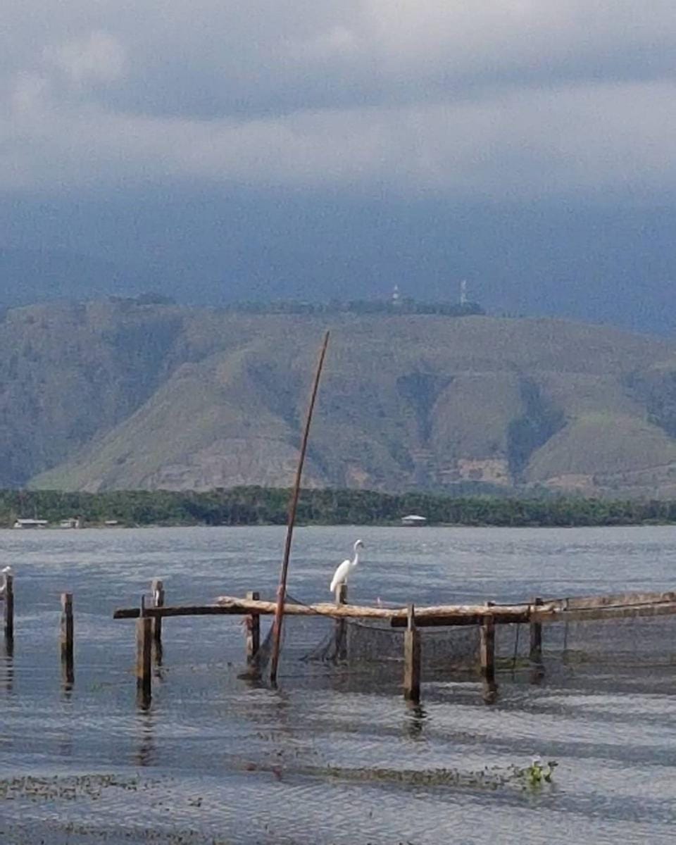 instagram.com/erwinparengkuan