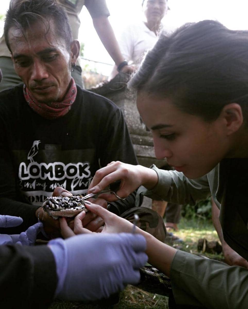 Instagram.com/manodelia