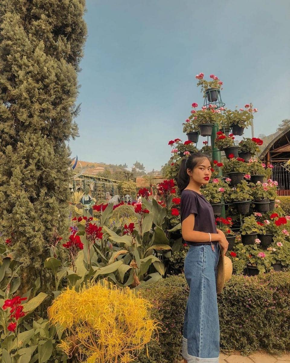 Instagram.com/namiradjani