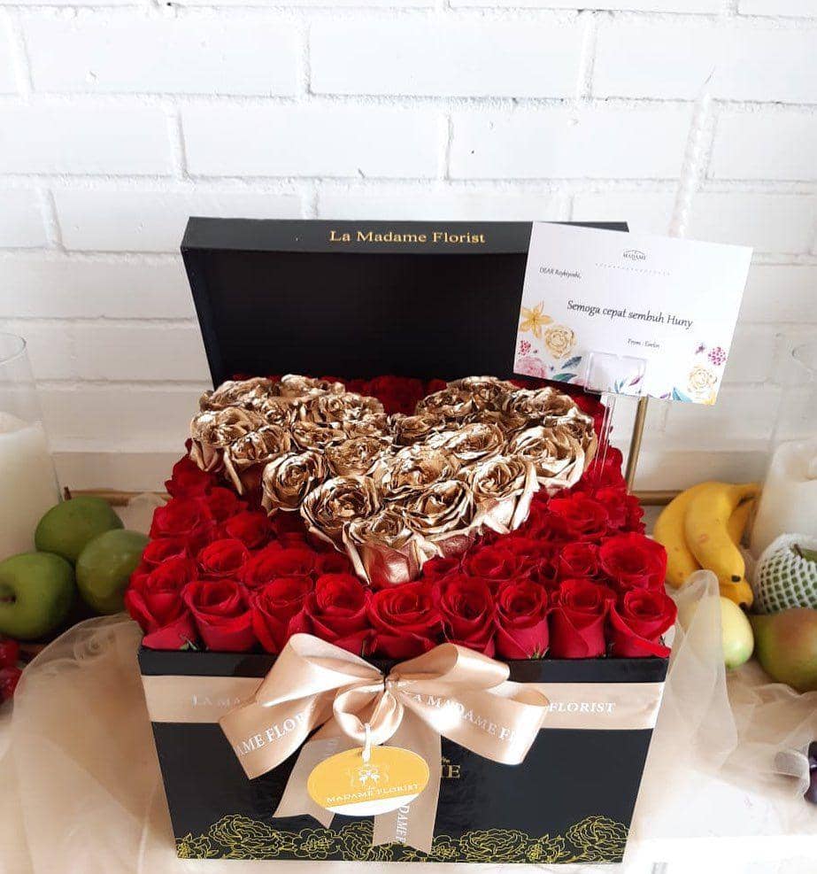 instagram.com/evelinnadaanjani