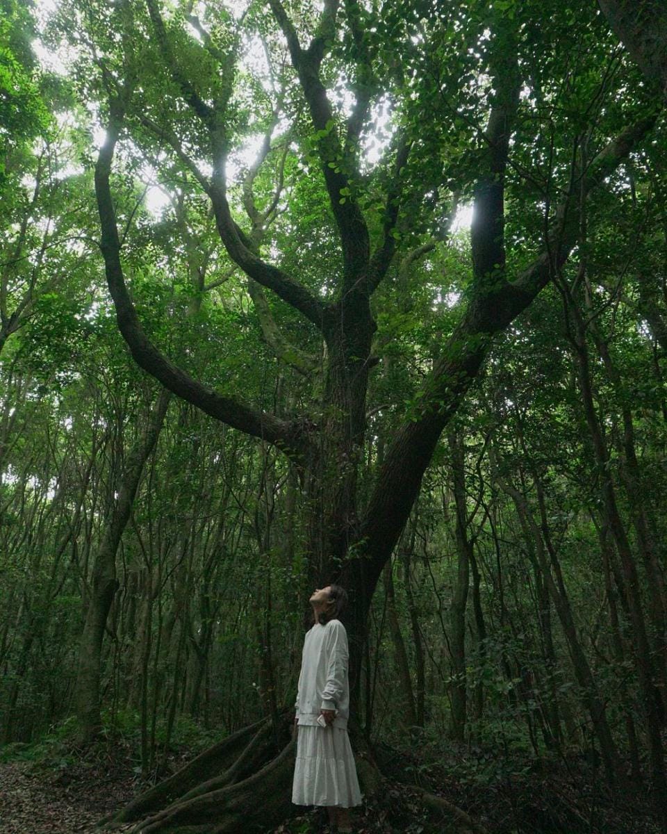 instagram.com/hoijoung