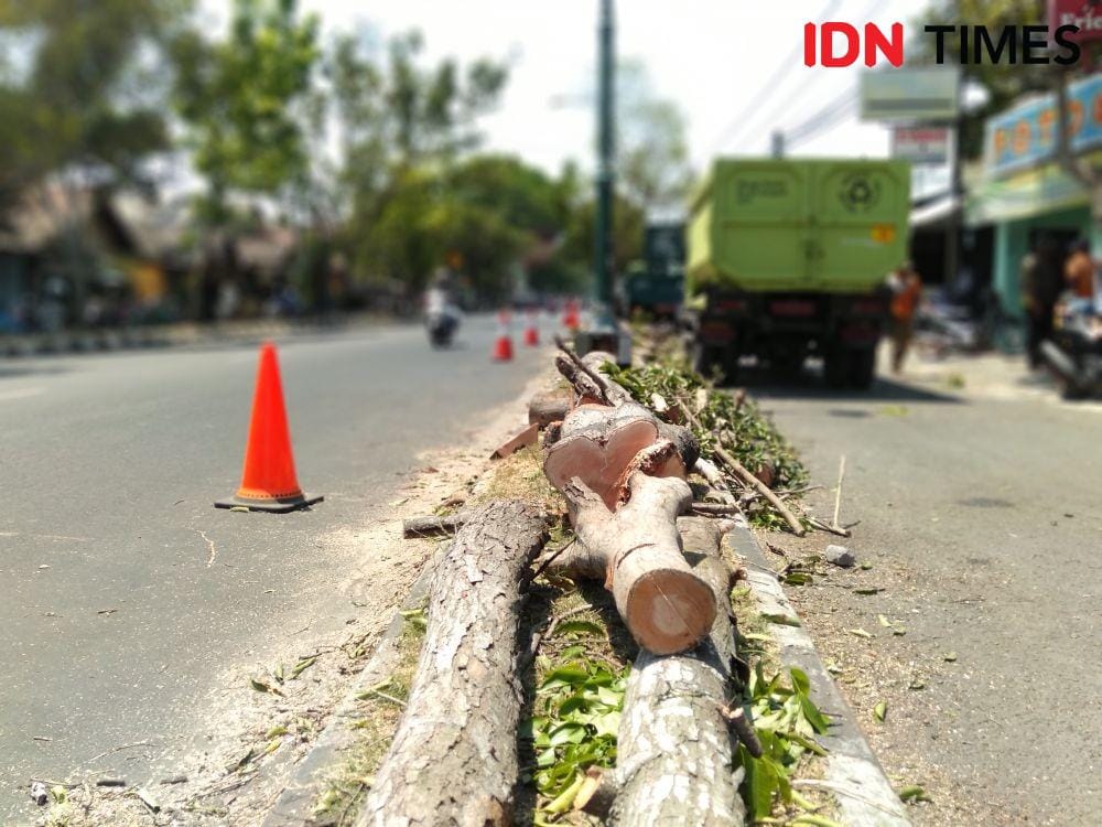 IDN Times/Daruwaskita