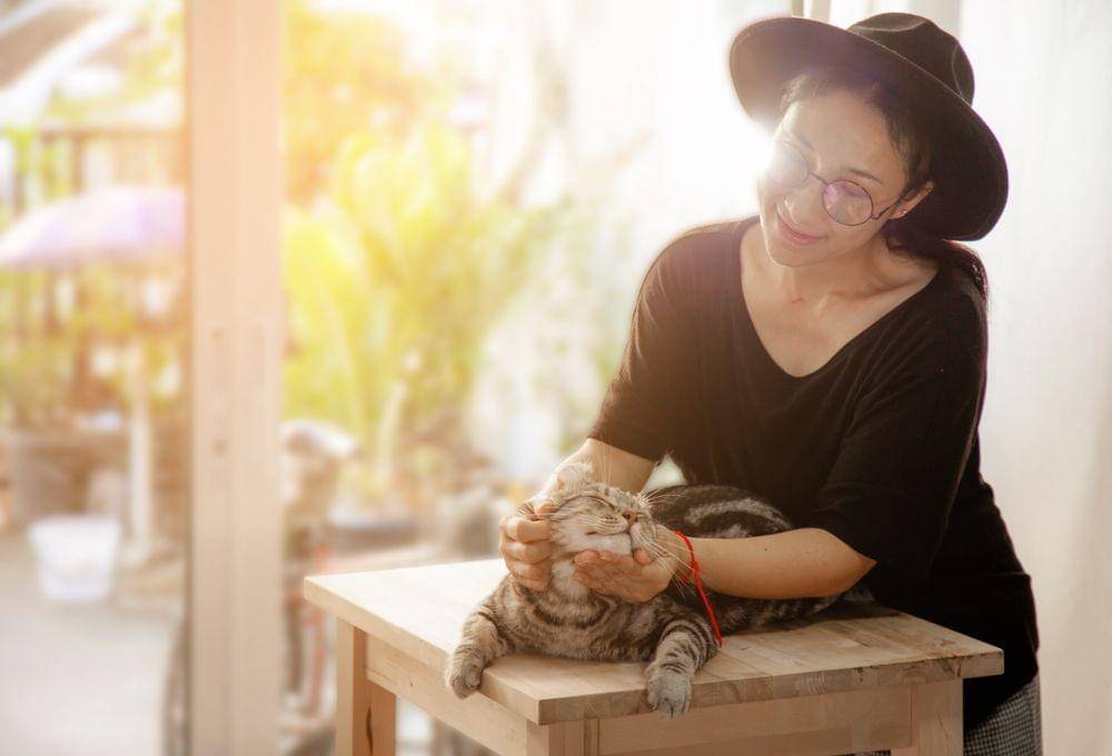 Shutterstock/Nitikom Poonsiri