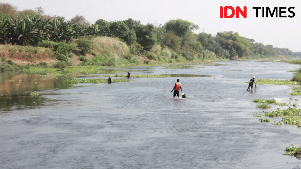 IDN Times/Larasati Rey