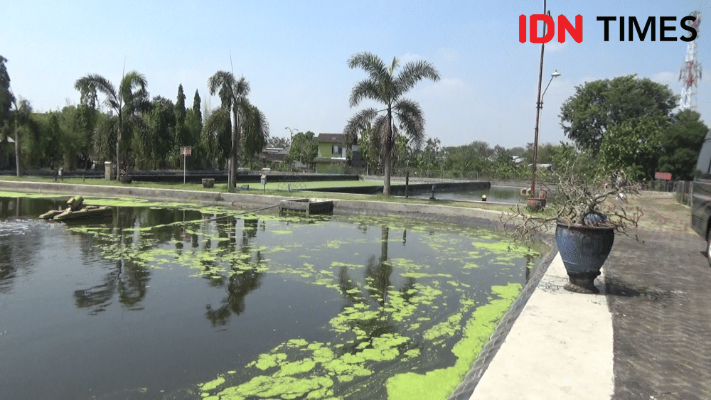 IDN Times /Larasati Rey