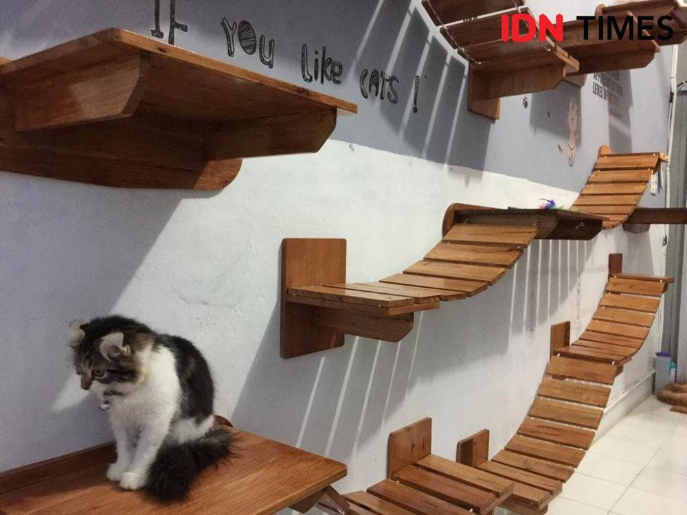 IDN Times/Indah Permata Sari