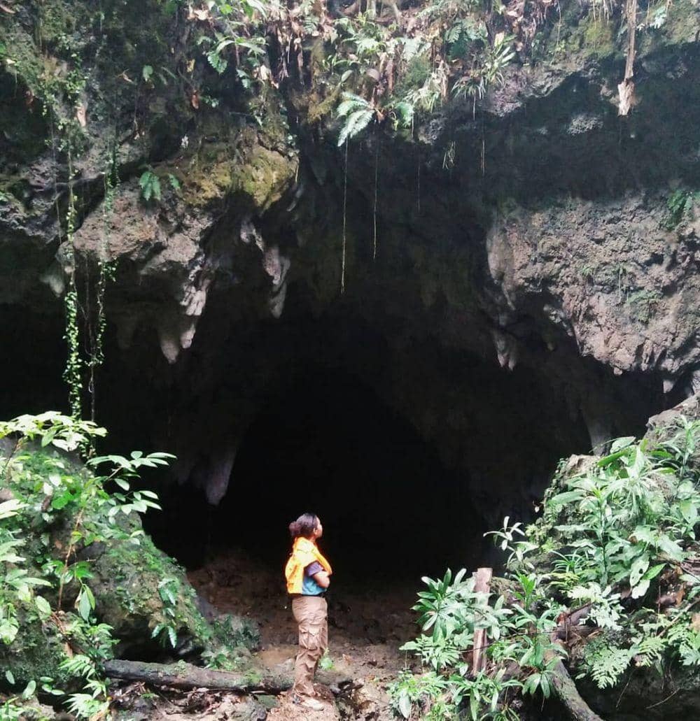 instagram.com/cattleabr.10