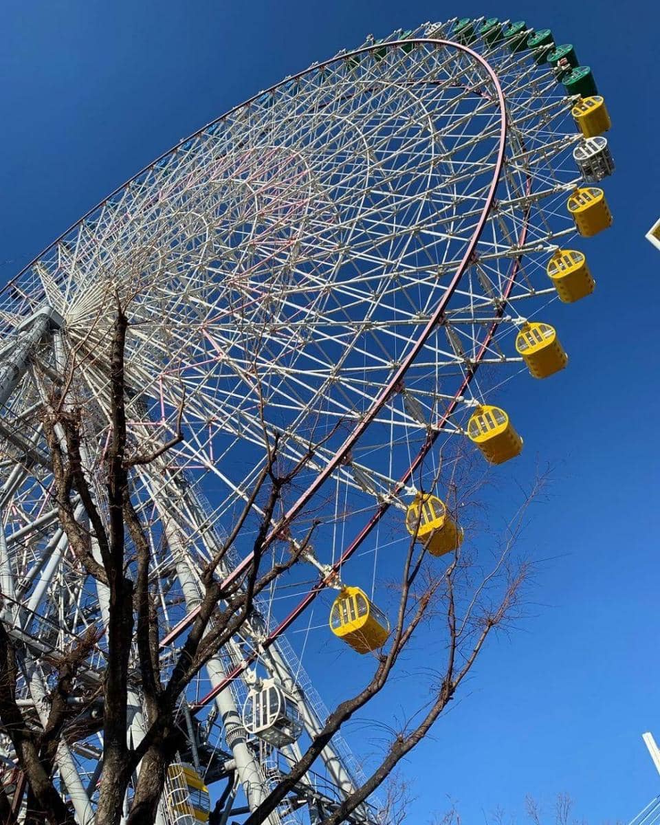 instagram.com/diamirzaofficial