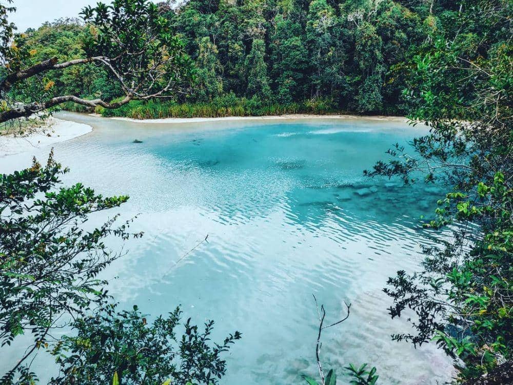 instagram.com/michelkambu