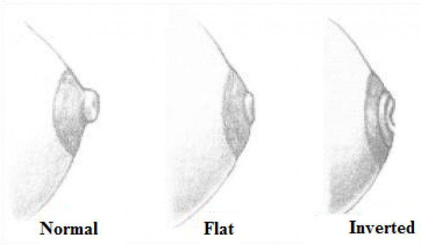 pregnology.com