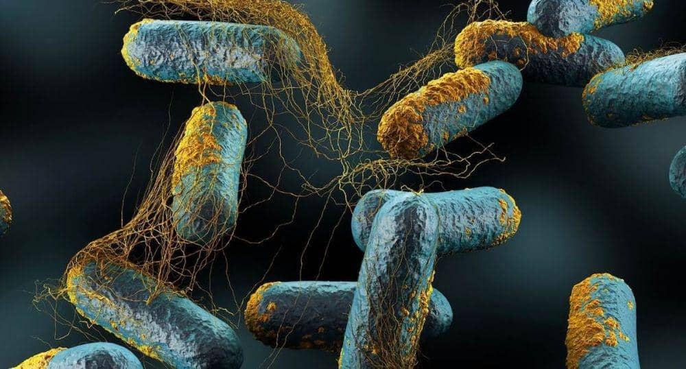 foodpoisoningbulletin.com