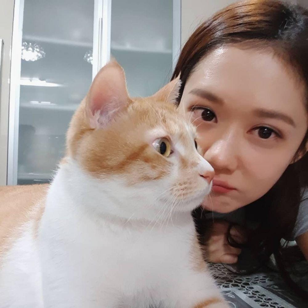 Instagram.com/nara0318