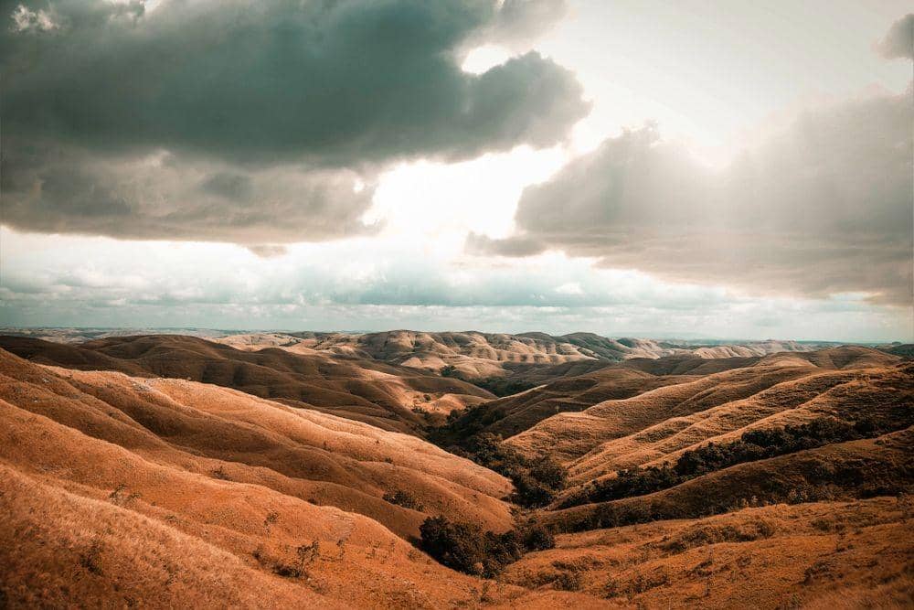 shutterstock.com/RizalPhotoStock