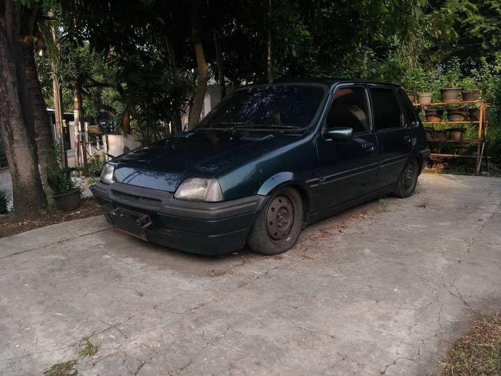 maleo