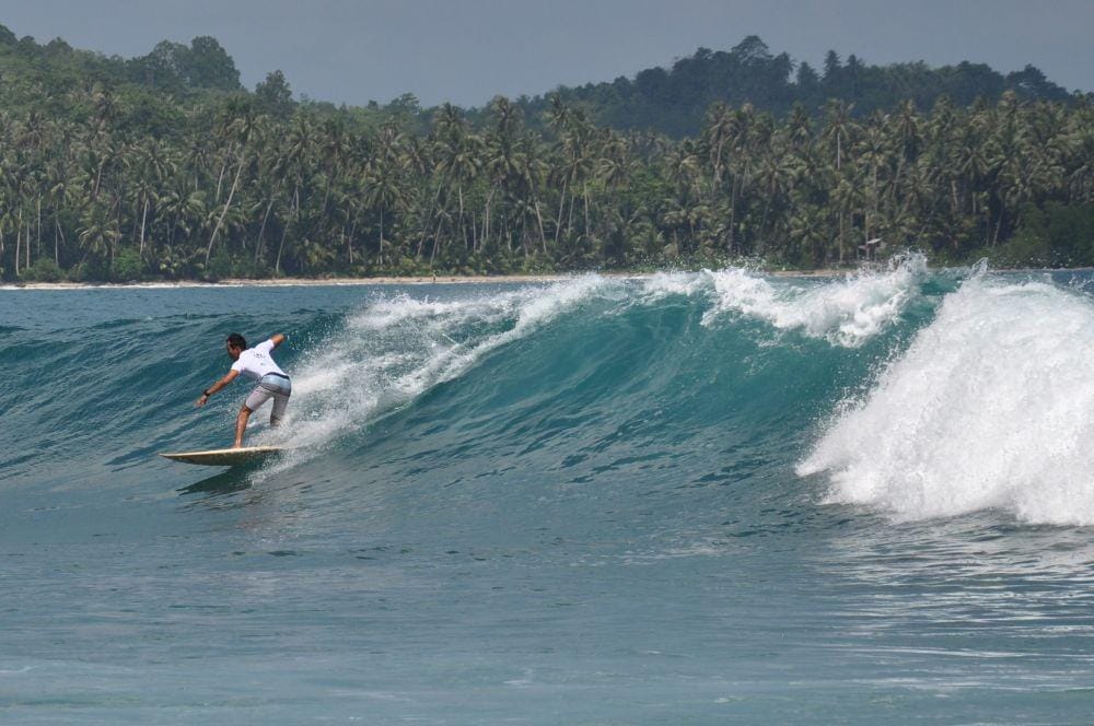 Antara Foto/Septianda Perdana