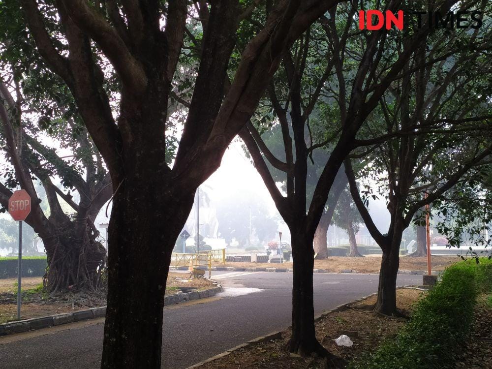 IDN Times/Rangga Erfizal