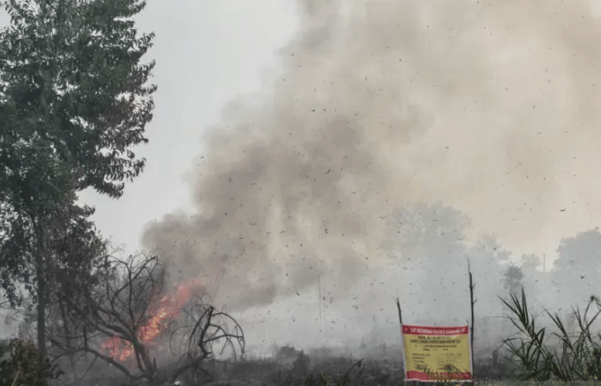 Antaranews/ Rony Muharrman