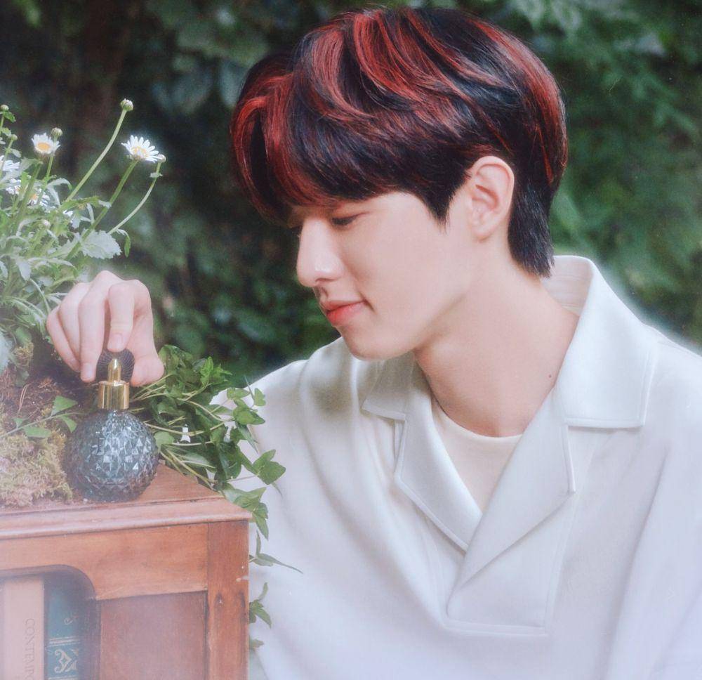 Twitter.com/@day6official