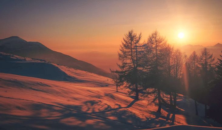 Unsplash/Cristina Gottardi