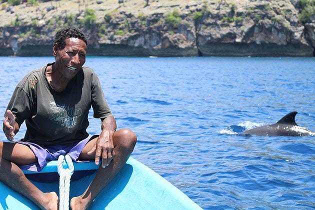 whalesdolphinsoftimor.com