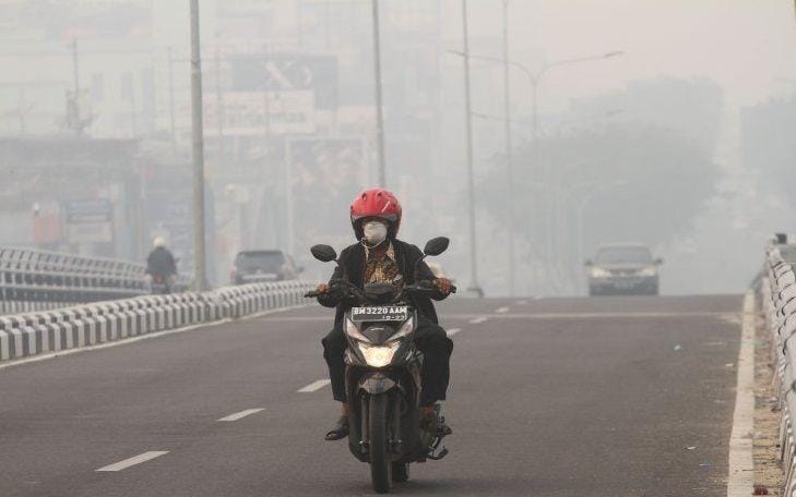 ANTARA FOTO/Rony Muharrman/aww