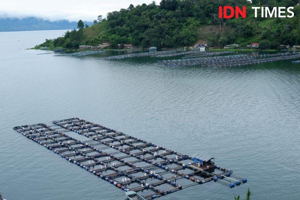 IDN Times/Prayugo Utomo