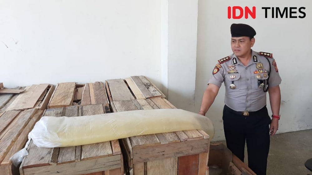 IDN Times/Surya Aditya