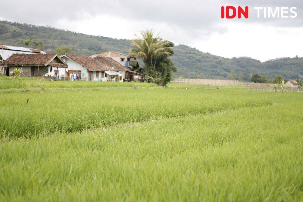 IDN Times/Muhamad Iqbal