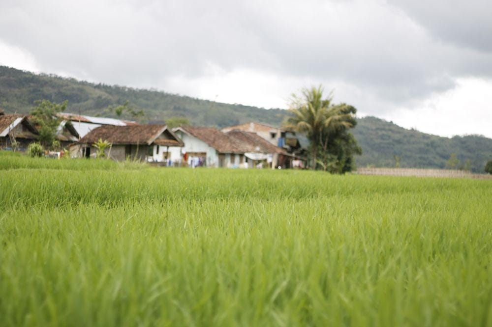 IDN Times/Muhamad Iqbal