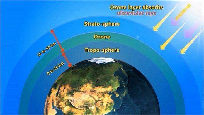eco-globe.com
