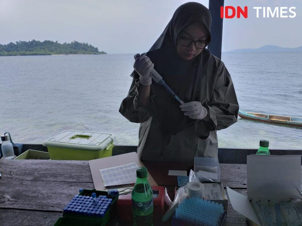 IDN Times/Hendra Simanjuntak