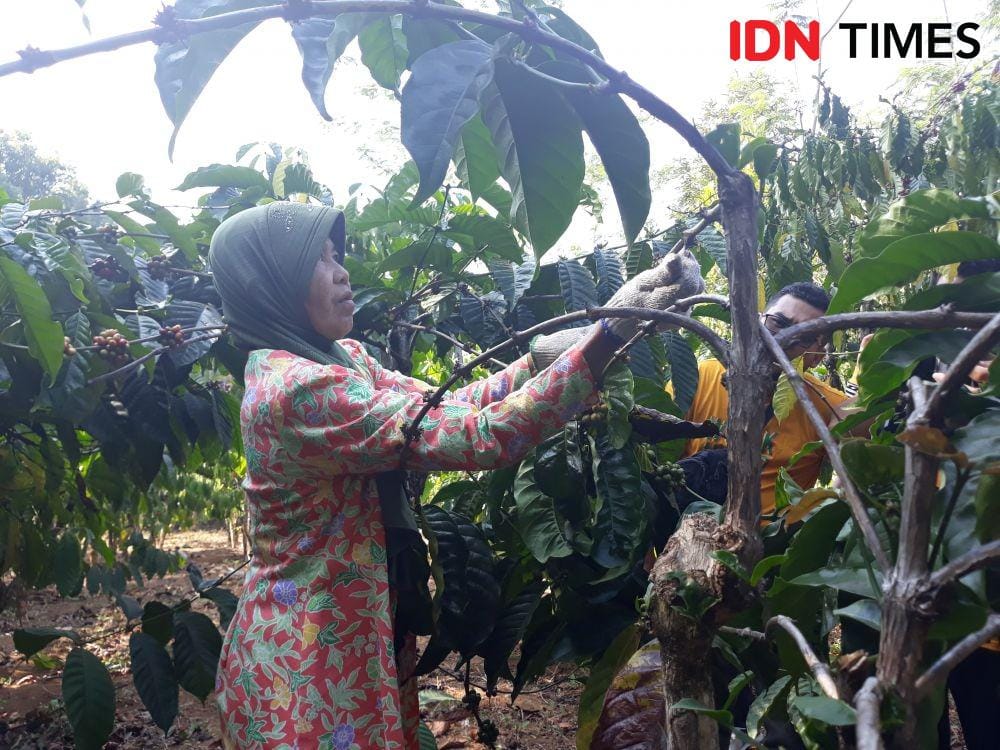 IDN Times/Indiana Malia