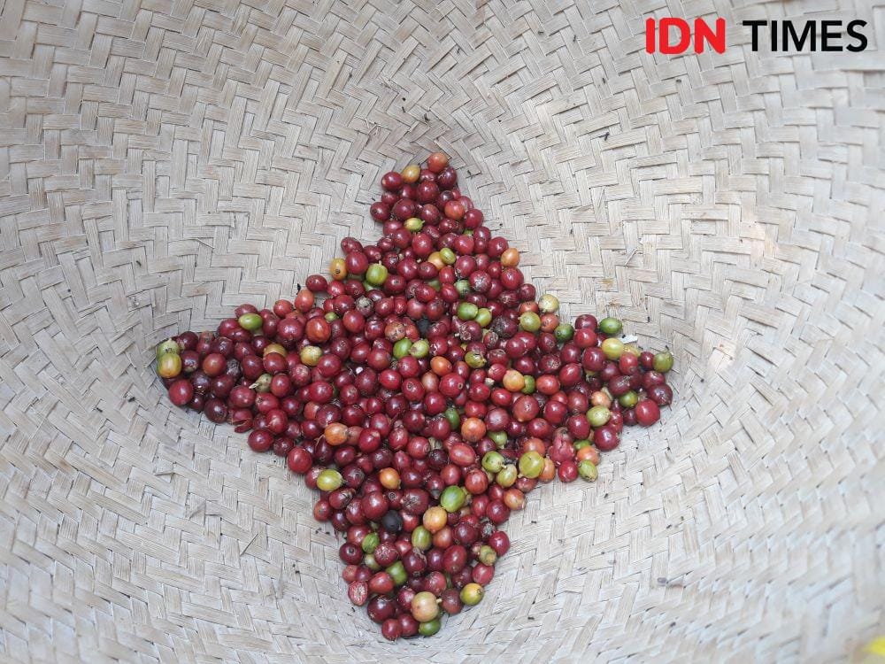 IDN Times/Indiana Malia