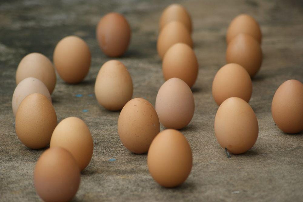 flickr.com/Chong SPhing