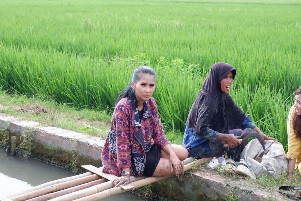 instagram.com/sorayarasyid12