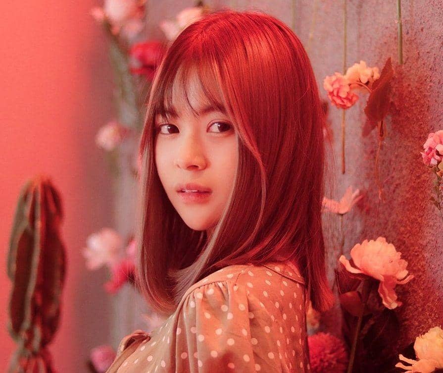 instagram.com/jkt48yupi