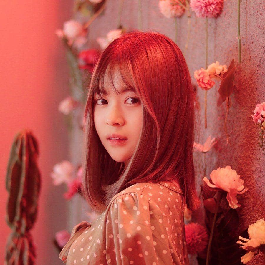 instagram.com/jkt48yupi