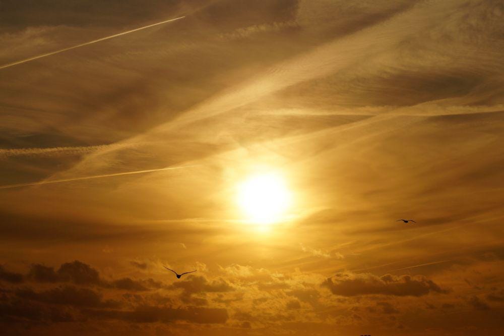 pexels.com/George Becker