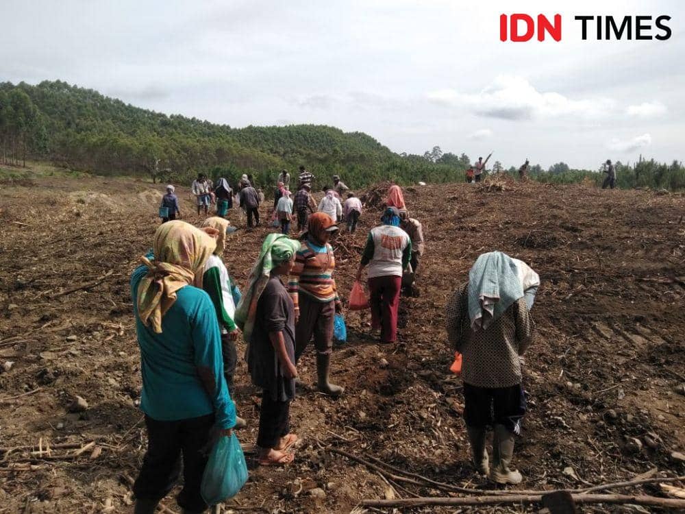 IDN Times/Gideon Aritonang