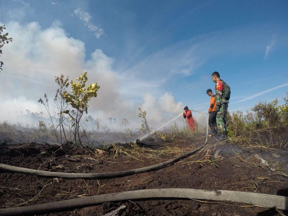 Dok.IDN Times/Istimewa