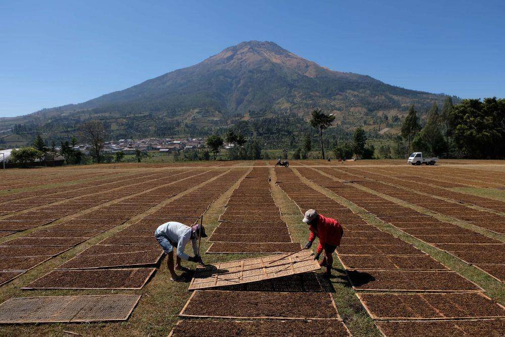 ANTARA FOTO/Anis Efizudin